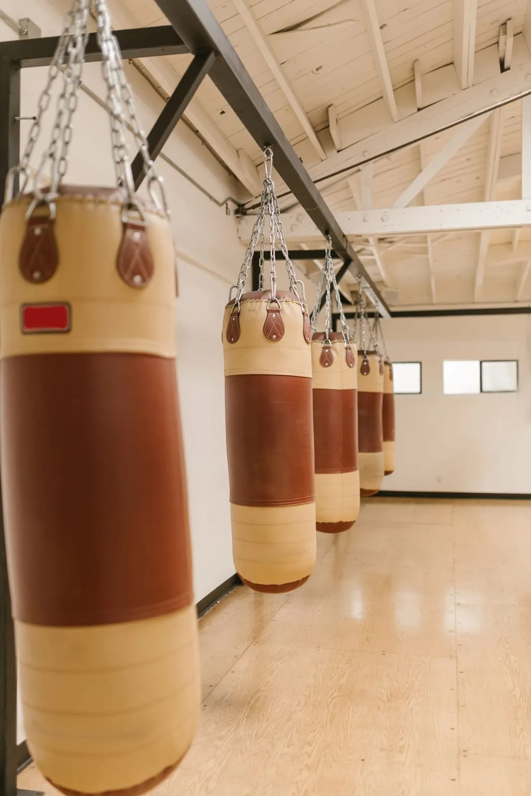 Row of leather heavy bags hanging in a bright boxing room