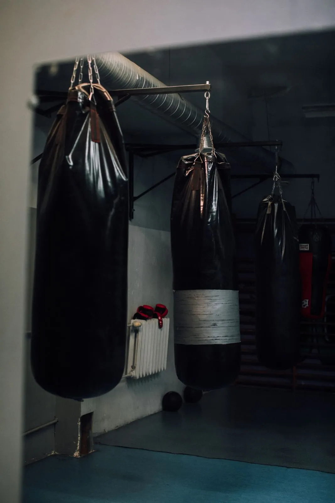 Row of heavy bags hanging in a boxing room