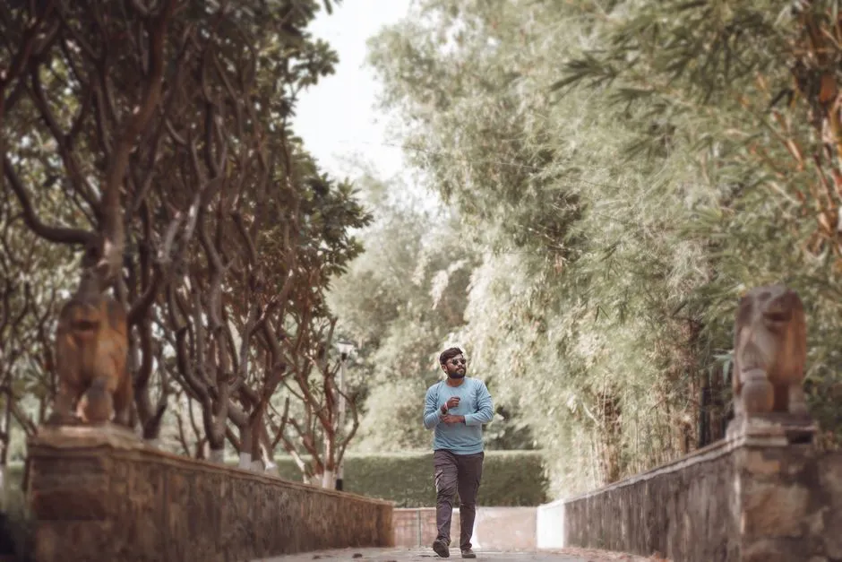 A man walking along a tree-lined path on a sunny morning